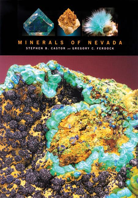 Minerals of Nevada als Buch (gebunden)