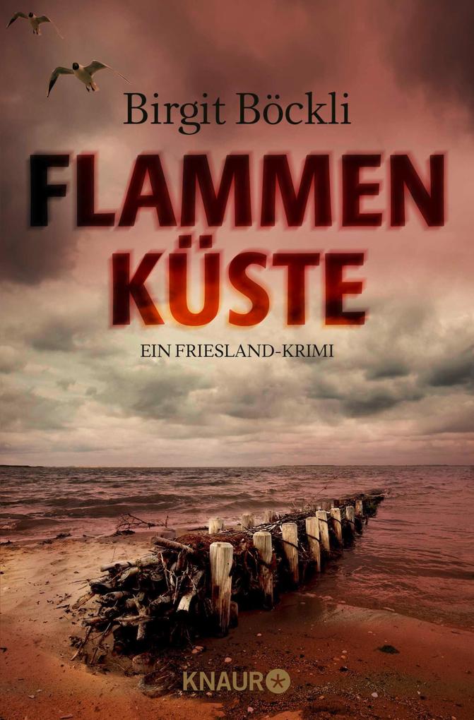 Produktbild: Flammenküste | Birgit Böckli