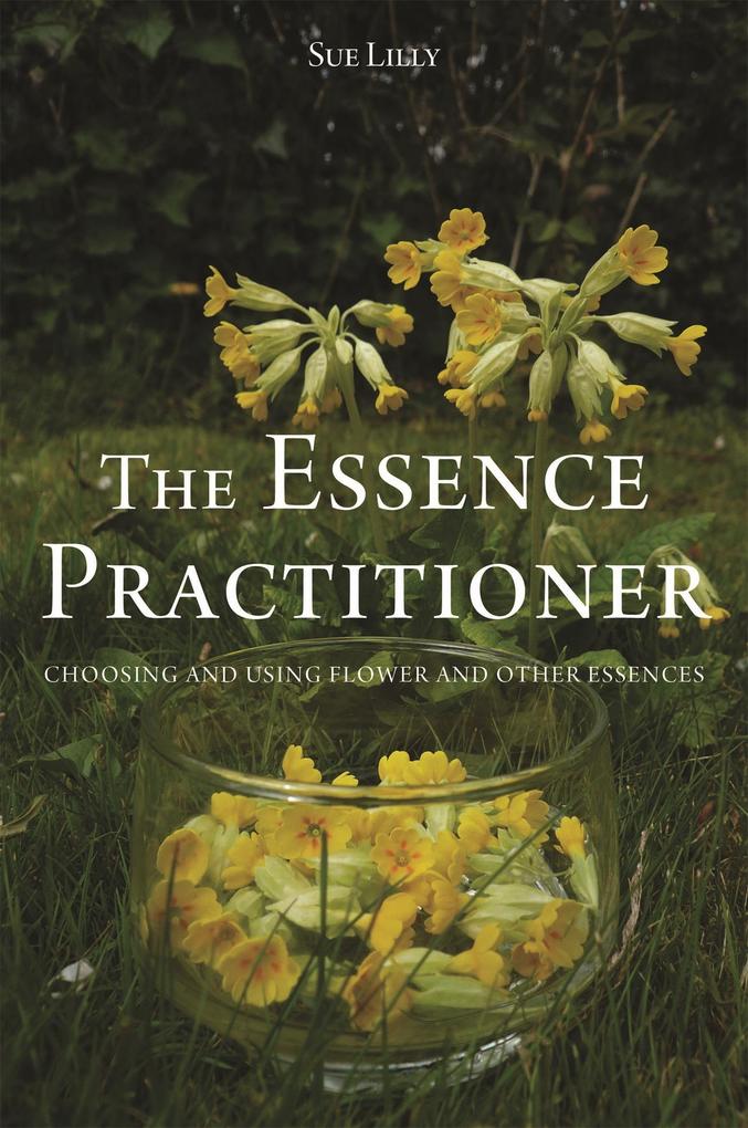 Produktbild: The Essence Practitioner | Sue Lilly