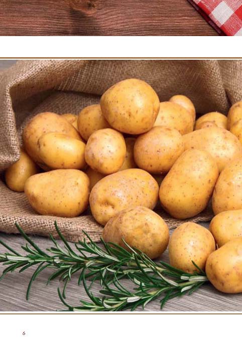 Weitere Ansicht: Großes Oberpfälzer Kartoffelkochbuch | Inge Häußler