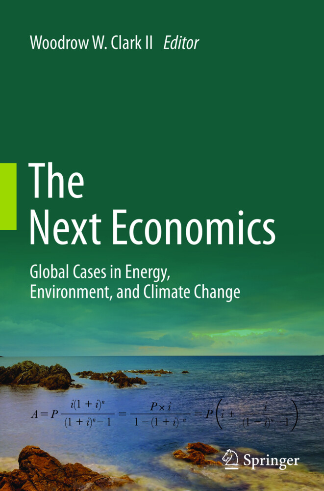 The Next Economics als Taschenbuch