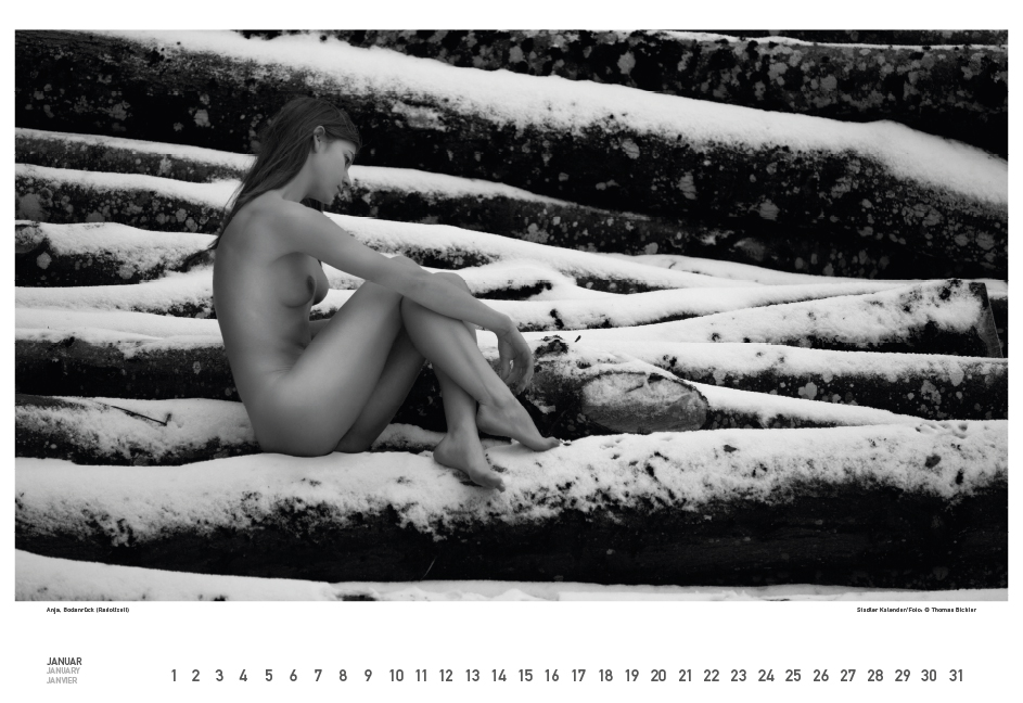 Weitere Ansicht: BodenseeAKT. Ein immerwährender Kalender