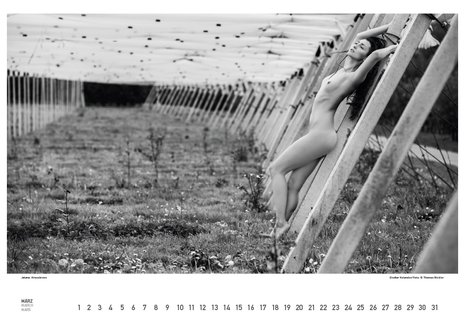 Weitere Ansicht: BodenseeAKT. Ein immerwährender Kalender