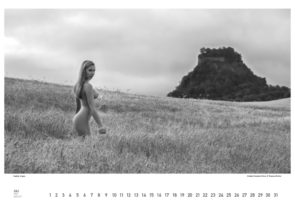 Weitere Ansicht: BodenseeAKT. Ein immerwährender Kalender