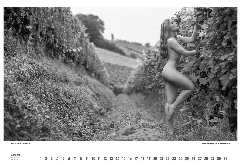 Weitere Ansicht: BodenseeAKT. Ein immerwährender Kalender