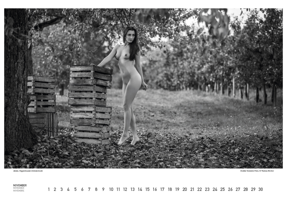 Weitere Ansicht: BodenseeAKT. Ein immerwährender Kalender