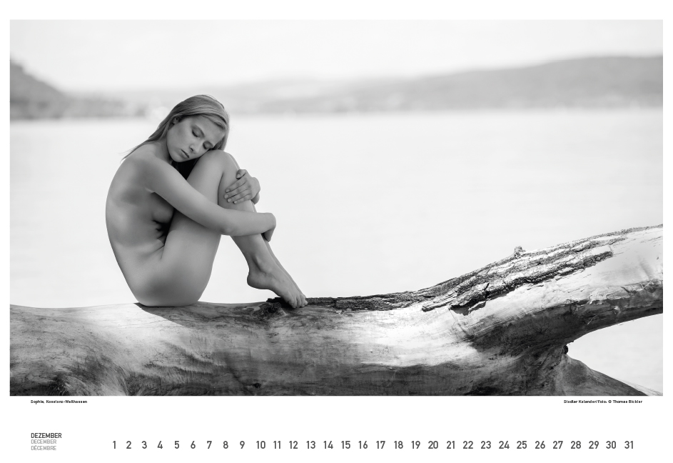 Weitere Ansicht: BodenseeAKT. Ein immerwährender Kalender