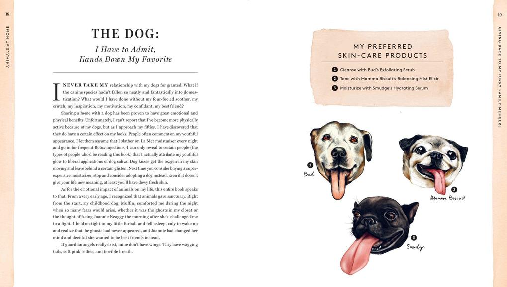 Weitere Ansicht: Do Unto Animals | Tracey Stewart