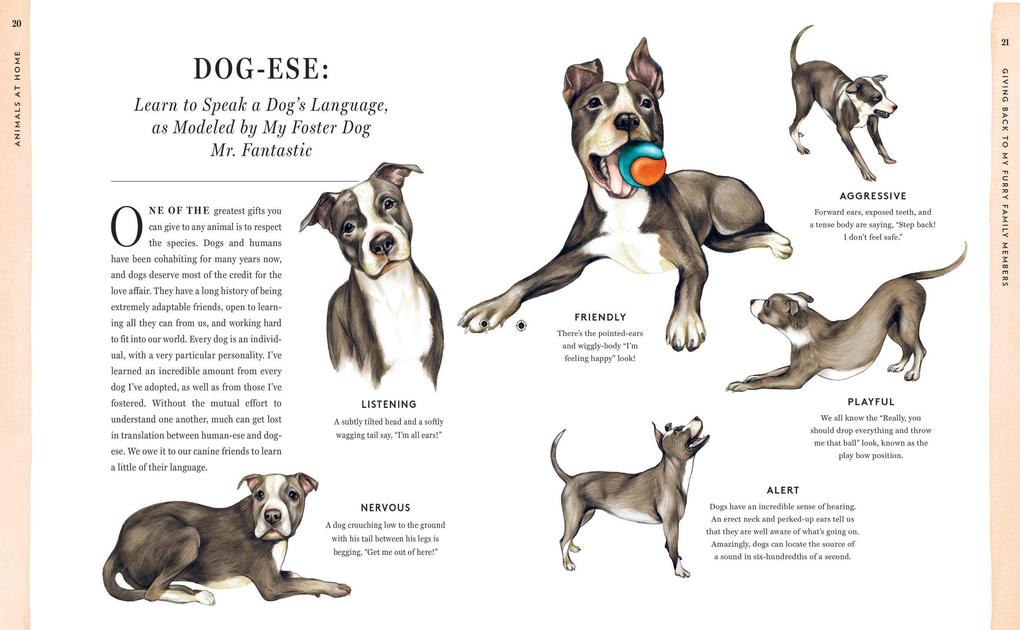Weitere Ansicht: Do Unto Animals | Tracey Stewart