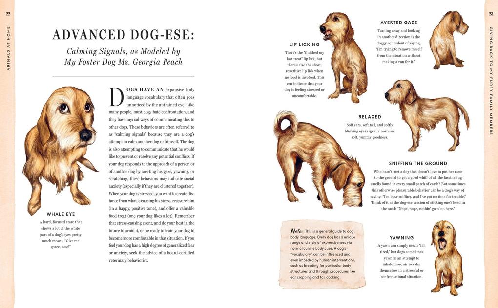 Weitere Ansicht: Do Unto Animals | Tracey Stewart