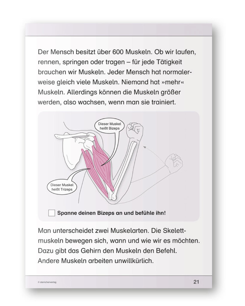 Weitere Ansicht: Ich kenne meinen Körper - Skelett, Muskeln und Wirbelsäule | Katrin Langhans, sternchenverlag GmbH