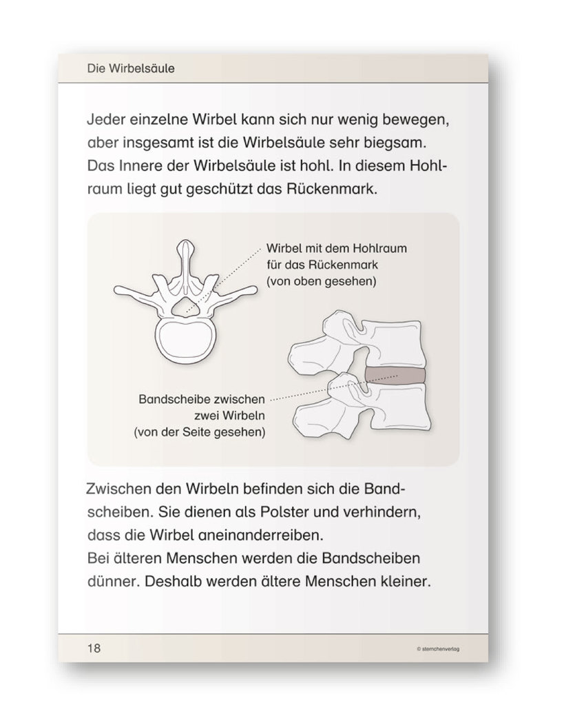 Weitere Ansicht: Ich kenne meinen Körper - Skelett, Muskeln und Wirbelsäule | Katrin Langhans, sternchenverlag GmbH