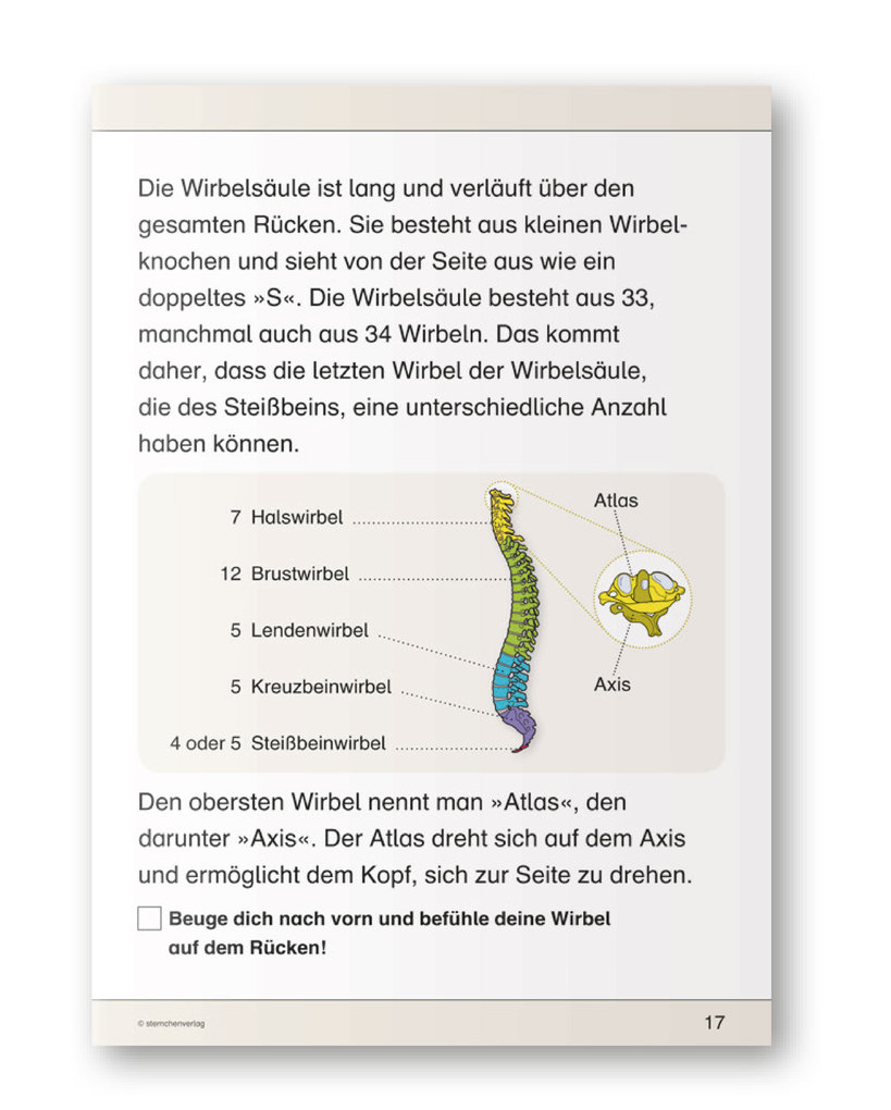 Weitere Ansicht: Ich kenne meinen Körper - Skelett, Muskeln und Wirbelsäule | Katrin Langhans, sternchenverlag GmbH