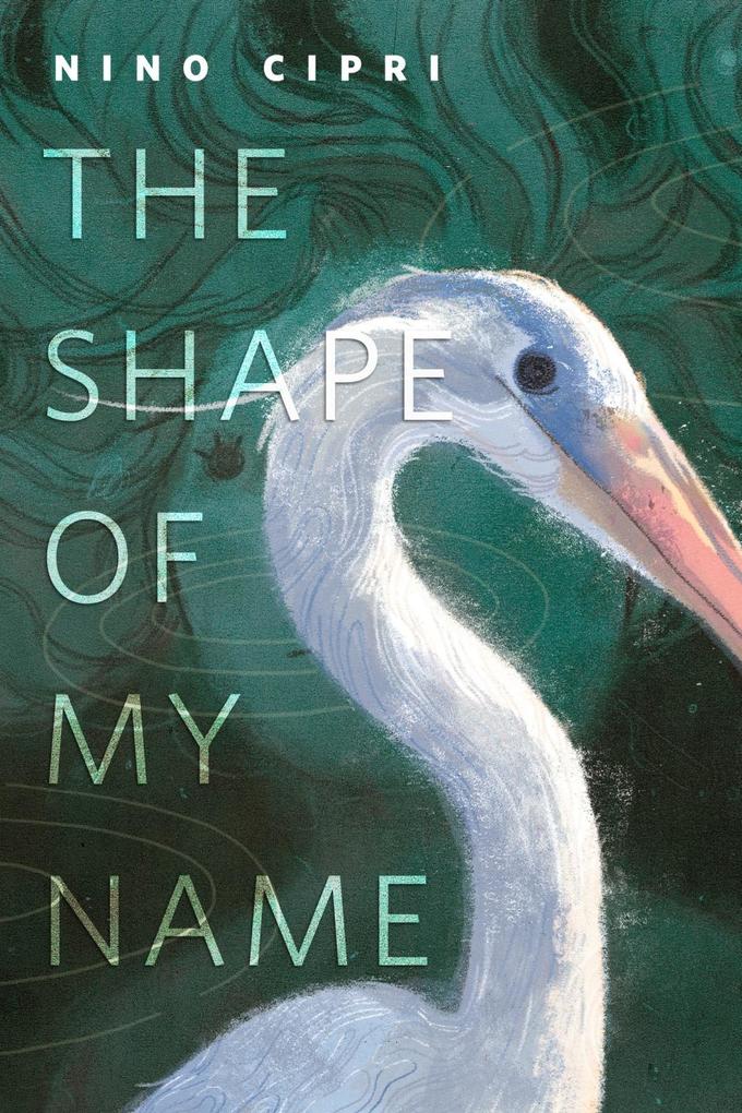 Produktbild: The Shape of My Name | Nino Cipri