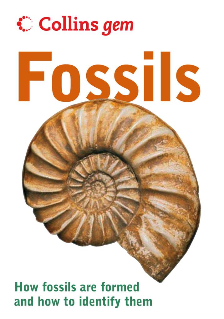 Produktbild: Fossils | Douglas Palmer