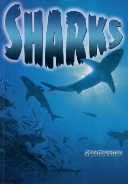 Produktbild: Sharks | John Townsend