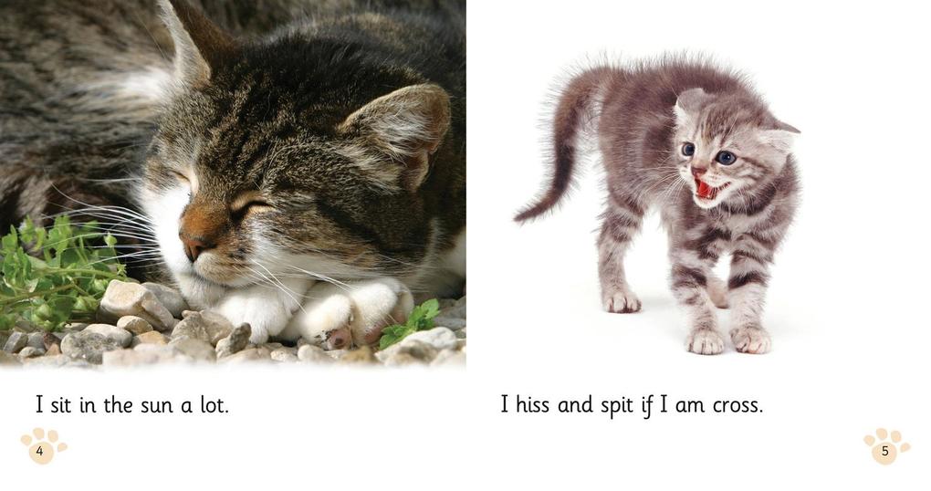 Weitere Ansicht: BIG CAT PHONICS - PET CAT BIG | Alison Hawes
