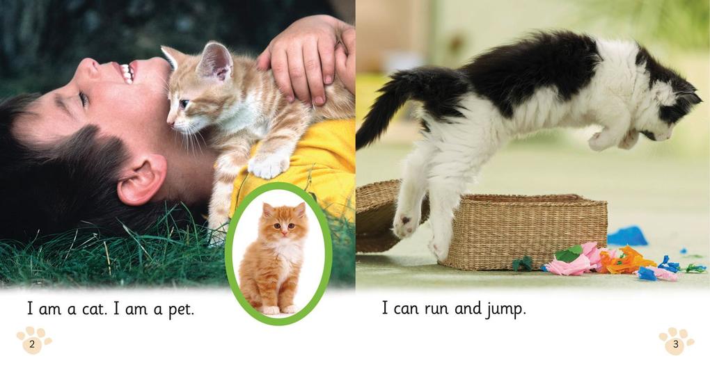 Weitere Ansicht: BIG CAT PHONICS - PET CAT BIG | Alison Hawes