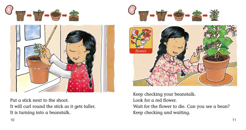 Weitere Ansicht: BIG CAT PHONICS - HOW BEANST | Janice Vale
