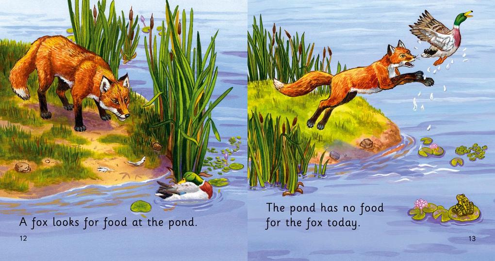 Weitere Ansicht: BIG CAT PHONICS - POND FOOD | John Townsend