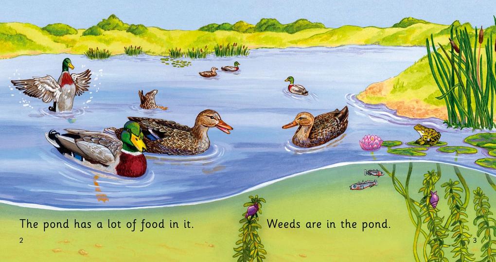 Weitere Ansicht: BIG CAT PHONICS - POND FOOD | John Townsend