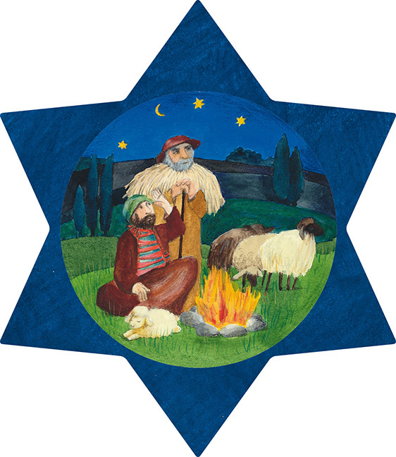 Weitere Ansicht: Weihnachtsstern - to go