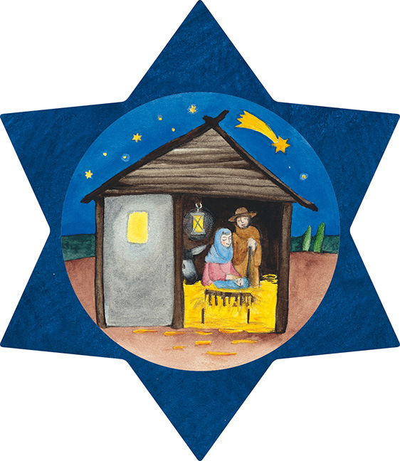 Weitere Ansicht: Weihnachtsstern - to go