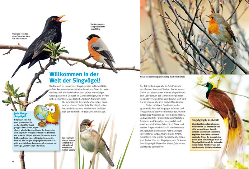 Weitere Ansicht: Entdecke die Singvögel | Thomas Schmidt