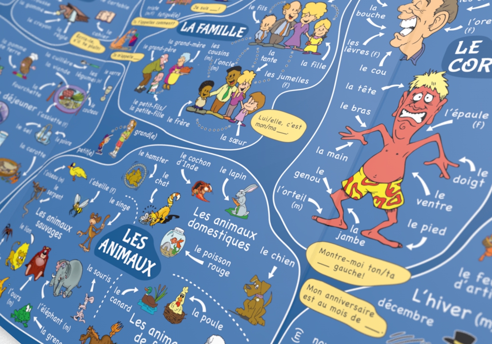 Weitere Ansicht: mindmemo Lernfolder - Les premiers pas - Französisch für Einsteiger - Vokabeln lernen mit Bildern - Zusammenfassung | Henry Fischer, Philipp Hunstein