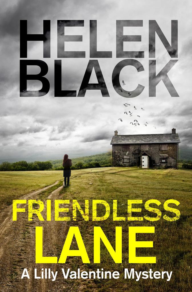 Produktbild: Friendless Lane | Helen Black