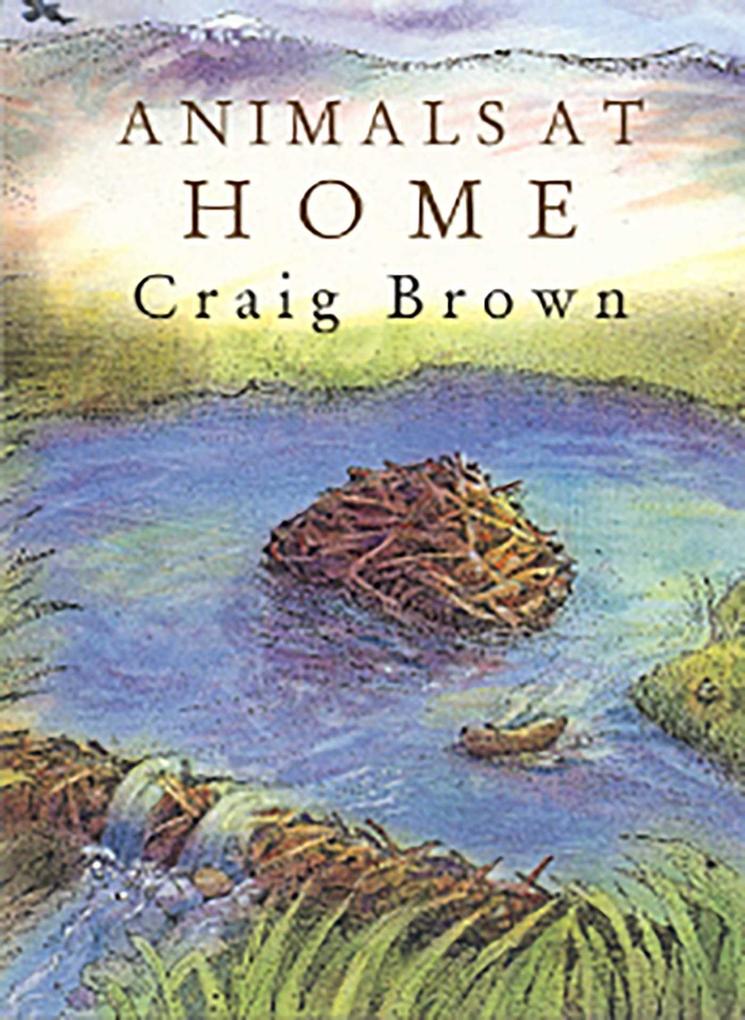 Produktbild: Animals at Home | Craig M Brown