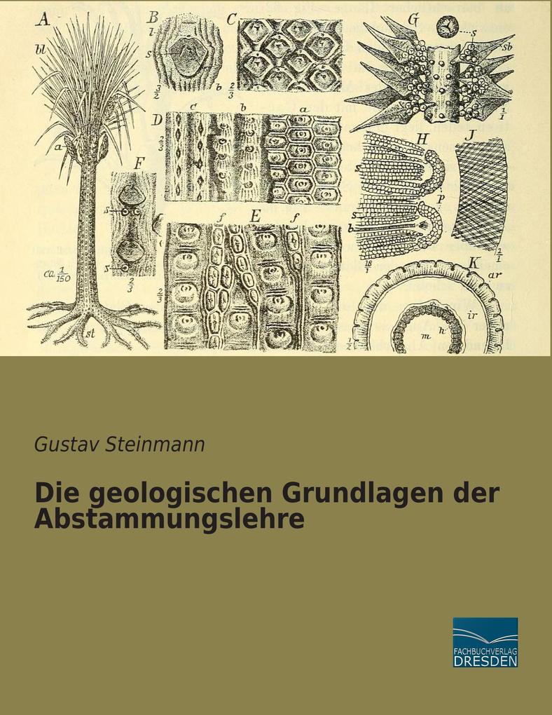 Produktbild: Die geologischen Grundlagen der Abstammungslehre | Gustav Steinmann