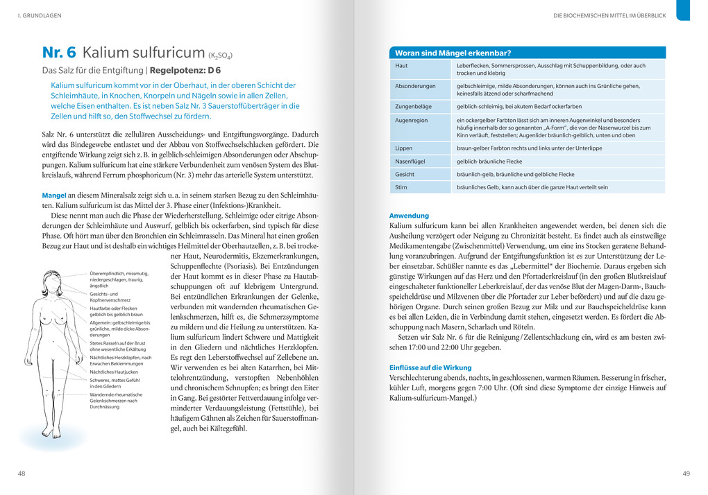 Weitere Ansicht: Die 12 Salze des Lebens - Biochemie nach Dr. Schüßler | Angelika Gräfin Wolffskeel von Reichenberg