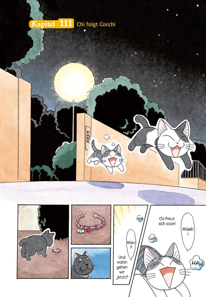 Weitere Ansicht: Kleine Katze Chi 07 | Konami Kanata