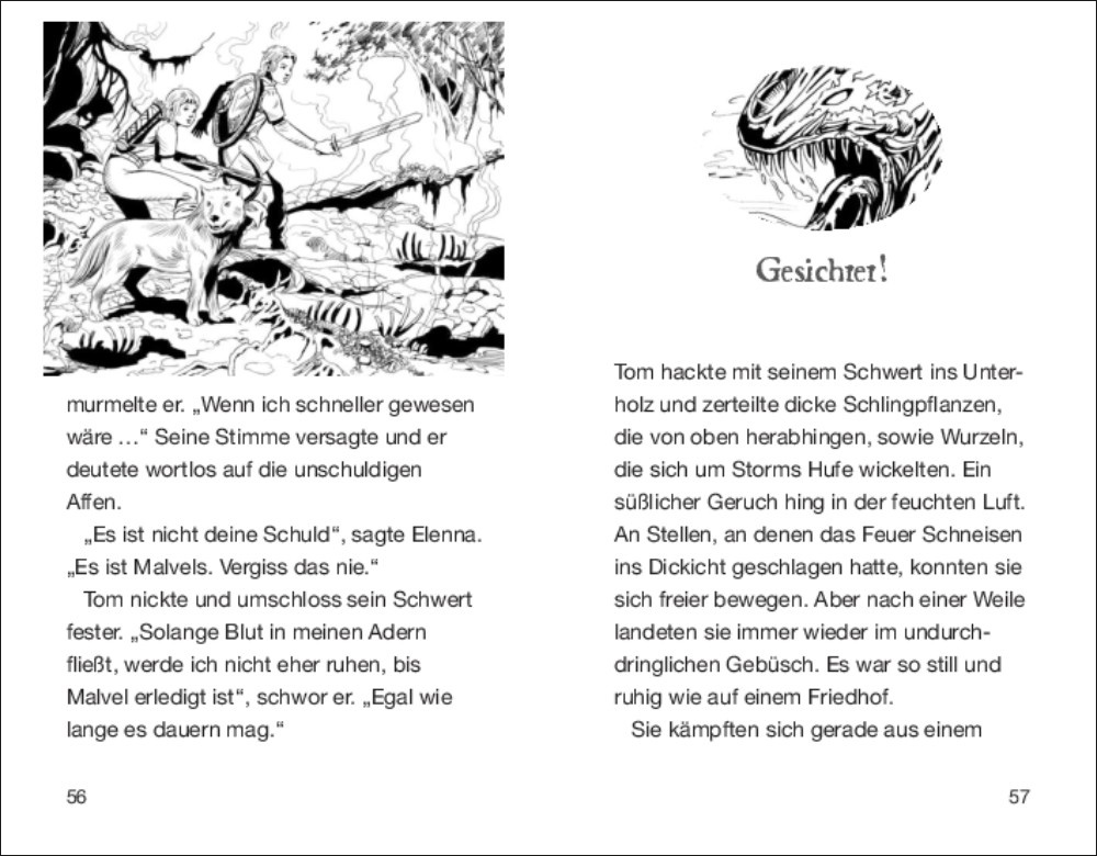 Weitere Ansicht: Beast Quest 41 - Nergato, der Nebelteufel | Adam Blade