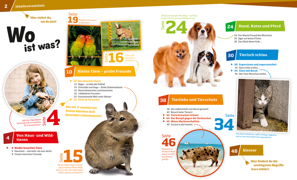 Weitere Ansicht: WAS IST WAS Band 72 Haustiere. Unsere liebsten Freunde | Annette Hackbarth