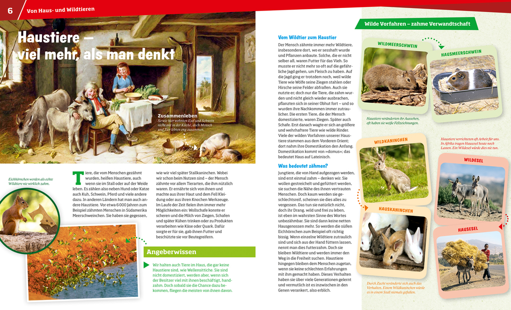 Weitere Ansicht: WAS IST WAS Band 72 Haustiere. Unsere liebsten Freunde | Annette Hackbarth