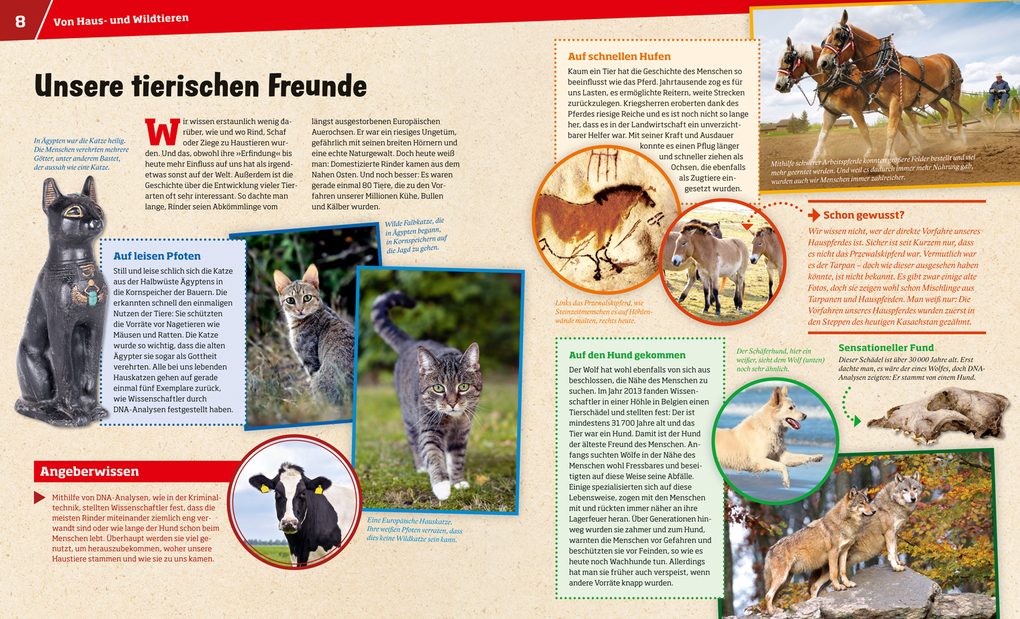 Weitere Ansicht: WAS IST WAS Band 72 Haustiere. Unsere liebsten Freunde | Annette Hackbarth