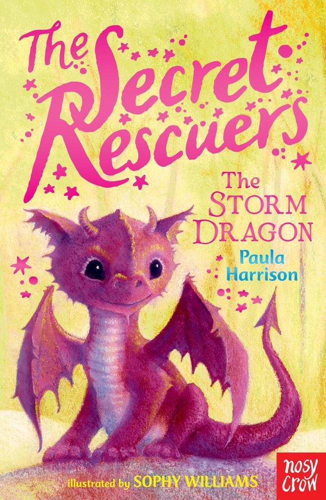 Produktbild: The Secret Rescuers: The Storm Dragon | Paula Harrison