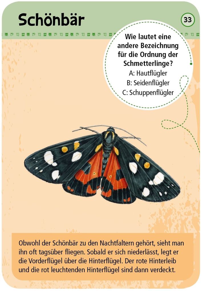 Weitere Ansicht: Expedition Natur: 50 heimische Schmetterlinge
