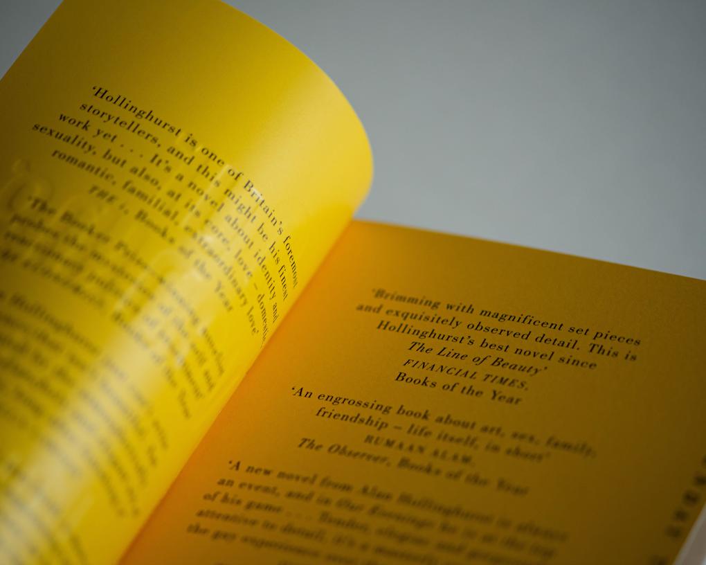 Weitere Ansicht: Our Evenings | Alan Hollinghurst