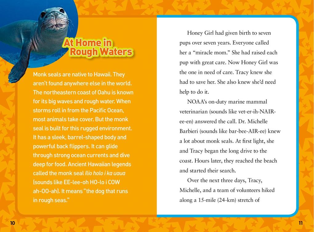 Weitere Ansicht: National Geographic Kids Chapters: Rhino Rescue! | Clare Hodgson Meeker