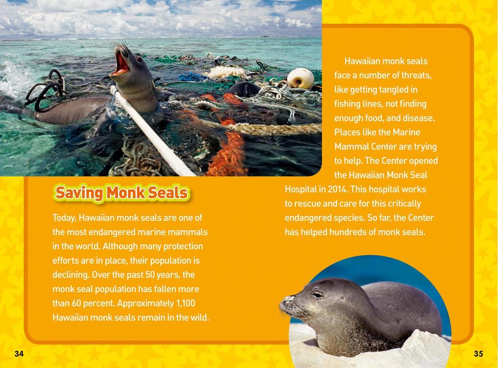 Weitere Ansicht: National Geographic Kids Chapters: Rhino Rescue! | Clare Hodgson Meeker