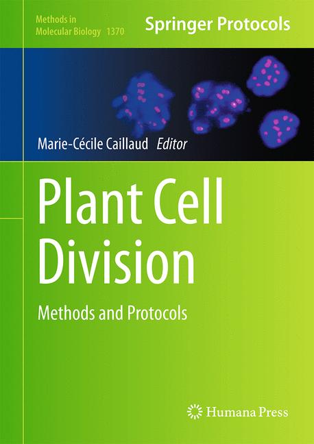 Weitere Ansicht: Plant Cell Division