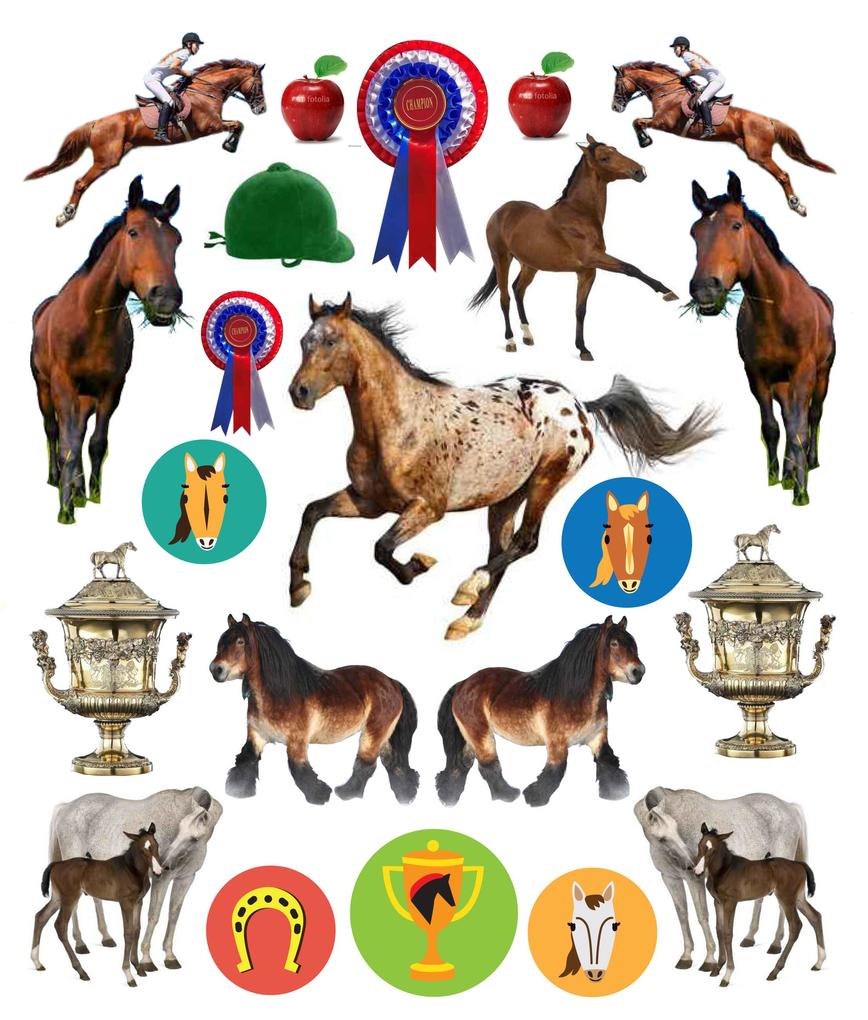 Weitere Ansicht: Eyelike Stickers: Horses