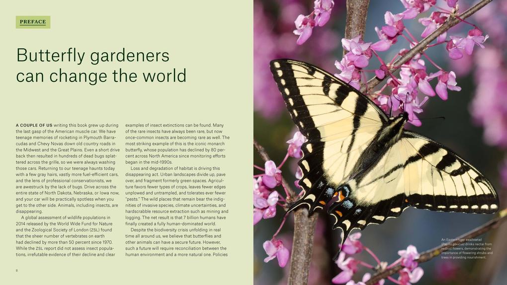 Weitere Ansicht: Gardening for Butterflies | The Xerces Society