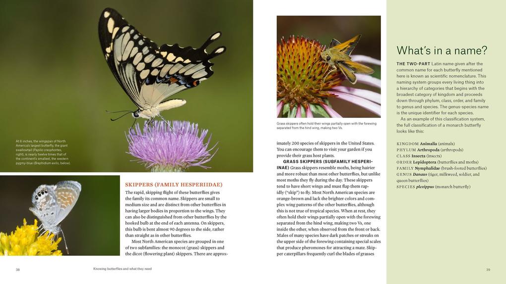 Weitere Ansicht: Gardening for Butterflies | The Xerces Society