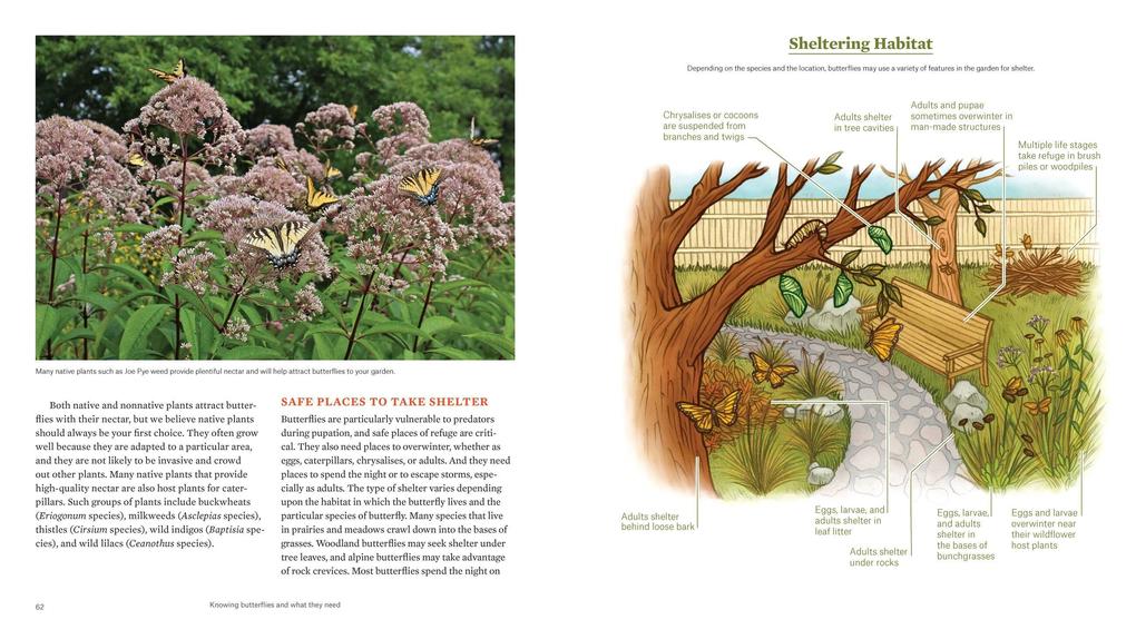 Weitere Ansicht: Gardening for Butterflies | The Xerces Society