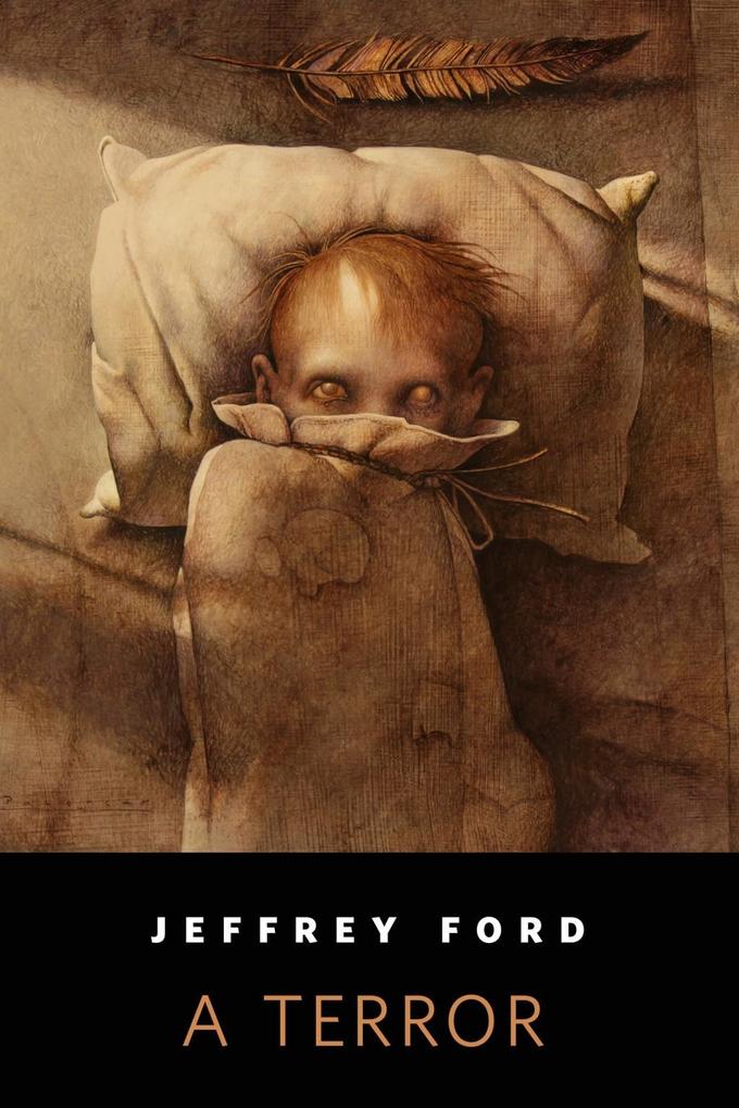 Produktbild: A Terror | Jeffrey Ford