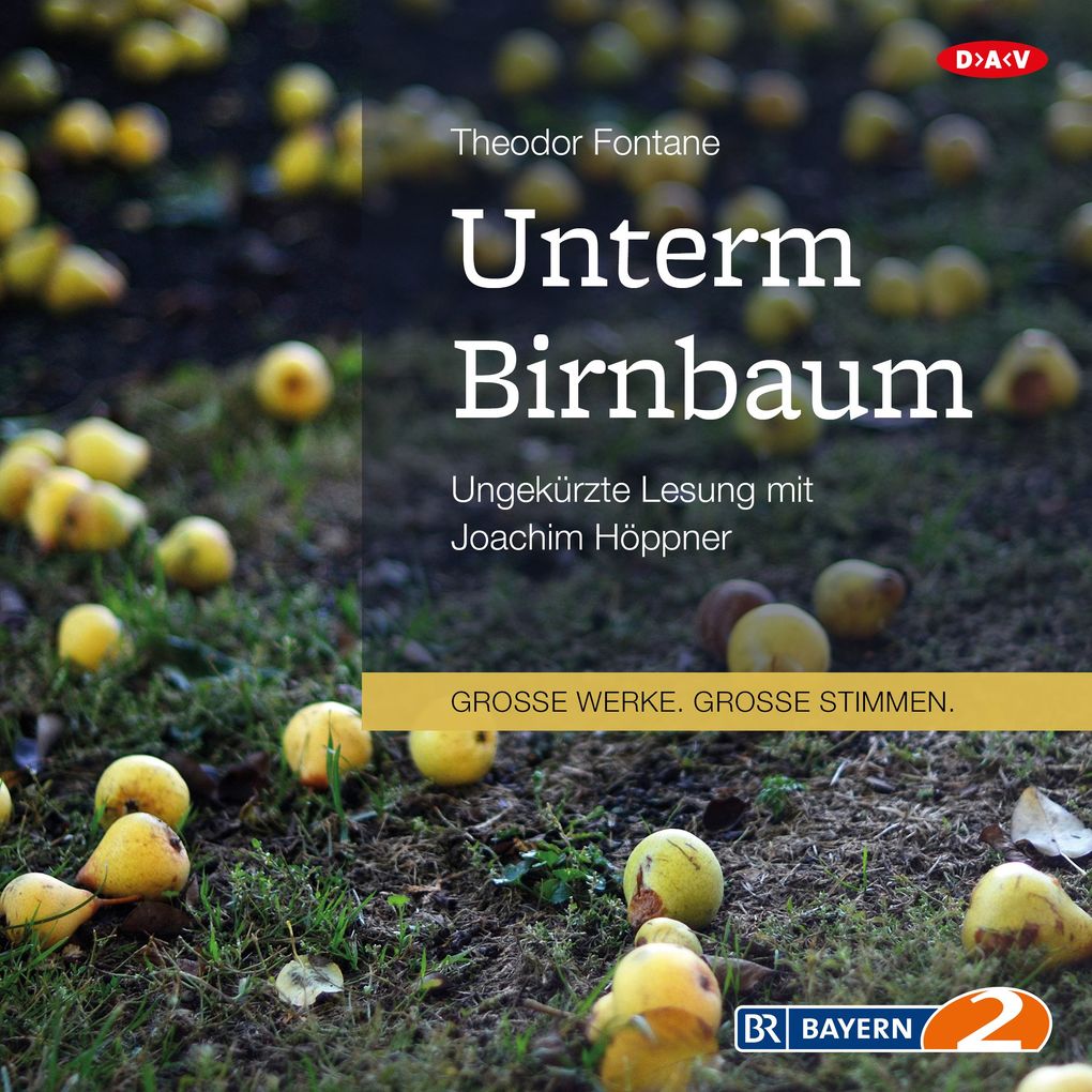 Produktbild: Unterm Birnbaum | Theodor Fontane